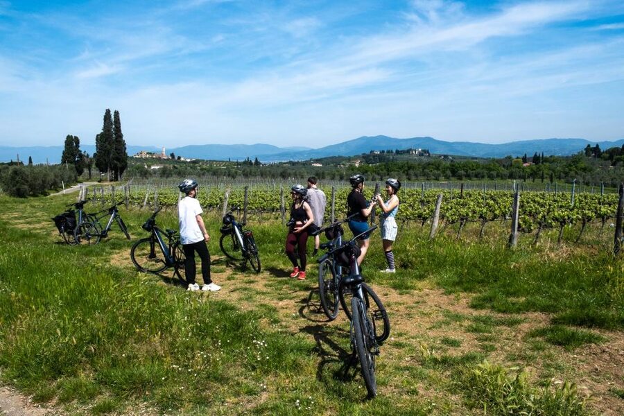 Florence: Chianti E-Bike Tour with Tuscan Lunch & Winery - Wine and olive oil with context