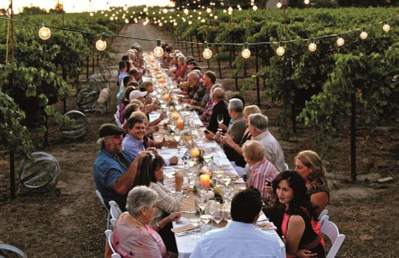 Florence: Chianti Vineyards Tour with Wine Tasting & Dinner - The winery visit and tasting