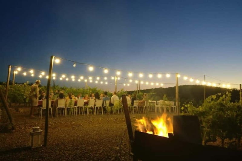 Florence: Chianti Vineyards Tour with Wine Tasting & Dinner - A Tuscan meal served outdoors