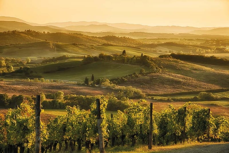 Florence: Chianti Vineyards Tour with Wine Tasting & Dinner - Transport, timing, and practical concerns