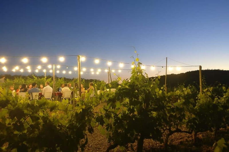 Florence: Chianti Vineyards Tour with Wine Tasting & Dinner - Final decision: is $128 worth it?