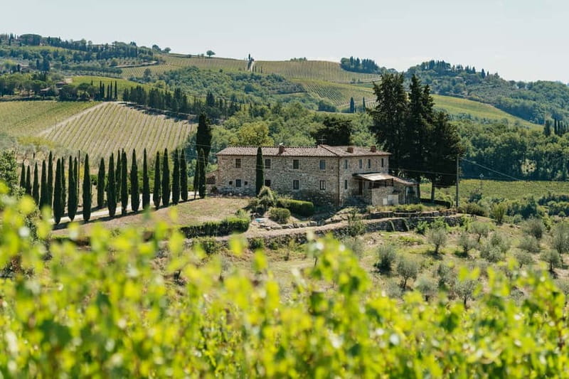 Florence: Chianti Wineries Tour with Wine Tasting - The drive into the Chianti Hills