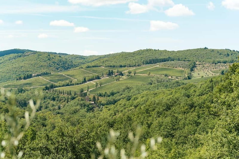 Florence: Chianti Wineries Tour with Wine Tasting - First winery: traditional, personal, and often the warmest stop