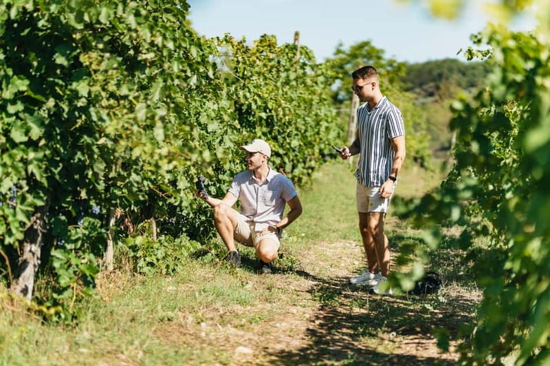 Florence: Chianti Wineries Tour with Wine Tasting - How the group format affects the visit
