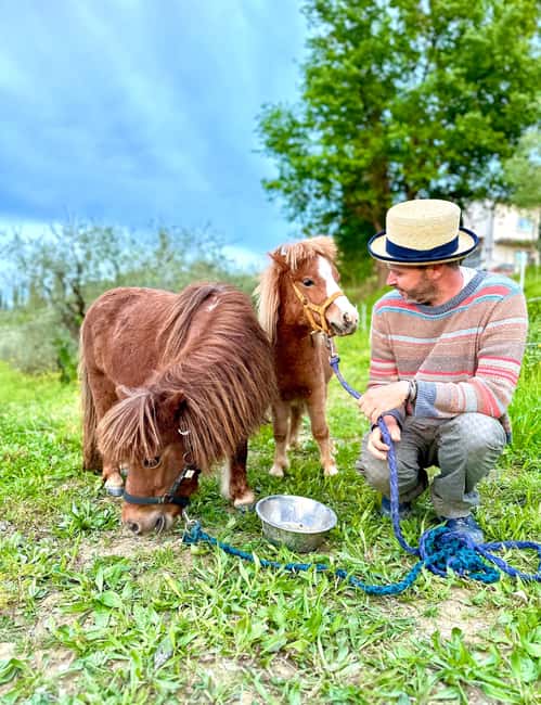 Florence: Countryside Tour with Wine Tasting & Pasta Class - Why this Tuscan farm day works so well