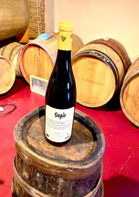 Florence: Countryside Tour with Wine Tasting & Pasta Class - What the $71 price really covers