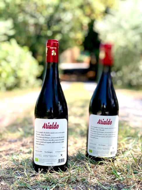 Florence: Countryside Tour with Wine Tasting & Pasta Class - From Piazza del Tiratoio to the Fucecchio countryside