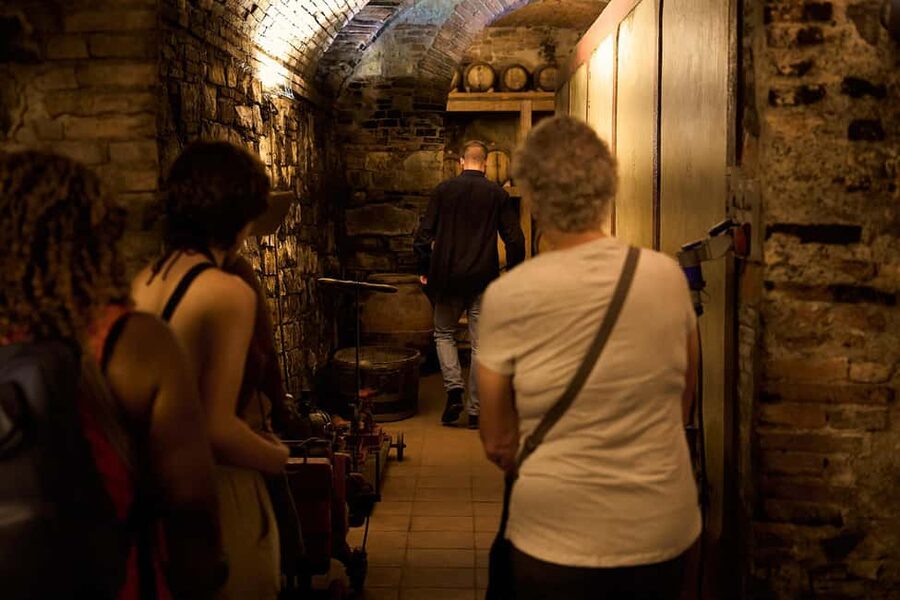 Florence: Great Chianti Wine and Olive Oil Trail with Lunch - Who should book this tour?