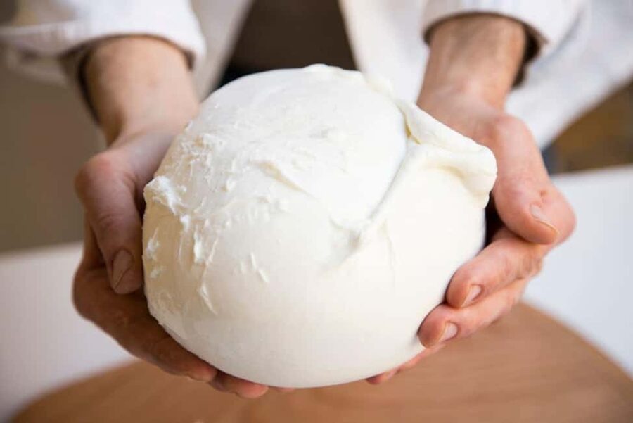 Florence: Mozzarella Making Workshop with Wine Tasting - Turning fresh curds into Florence’s favorite cheeses