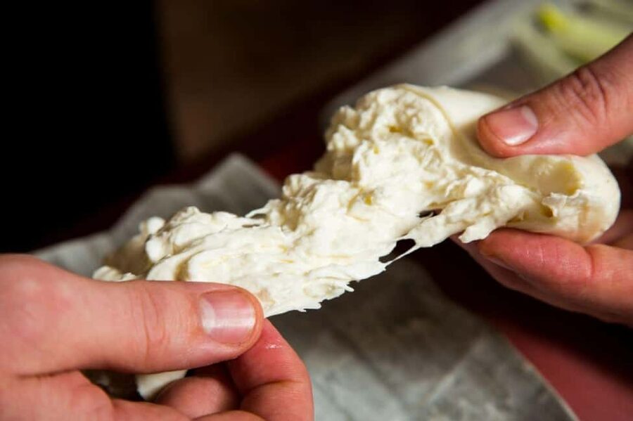 Florence: Mozzarella Making Workshop with Wine Tasting - What the two-hour schedule feels like