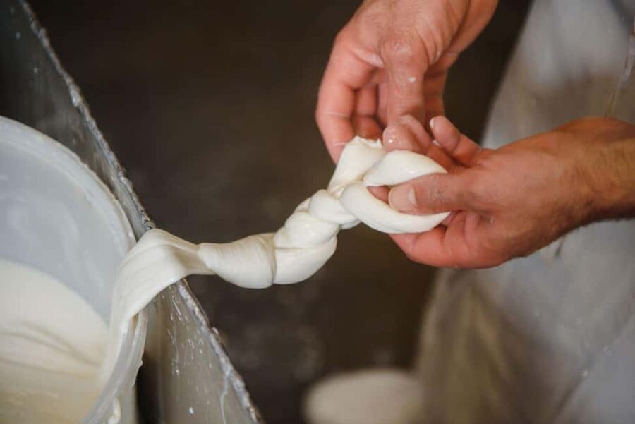 Florence: Mozzarella Making Workshop with Wine Tasting - Tuscan wines with a useful point of comparison