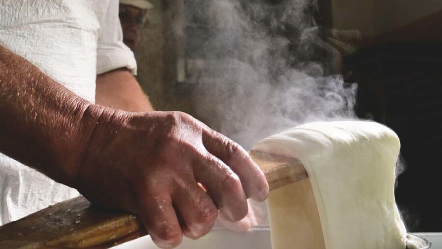 Florence: Mozzarella Making Workshop with Wine Tasting - Finding Simbiosi Farm and planning your visit
