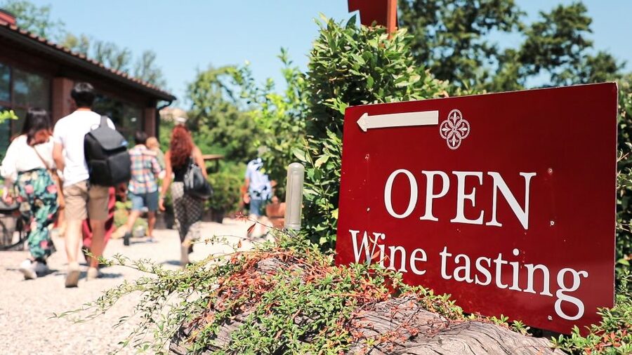 Florence: S. Gimignano, Siena, Chianti Wine Tasting & Lunch - Key points to know before booking