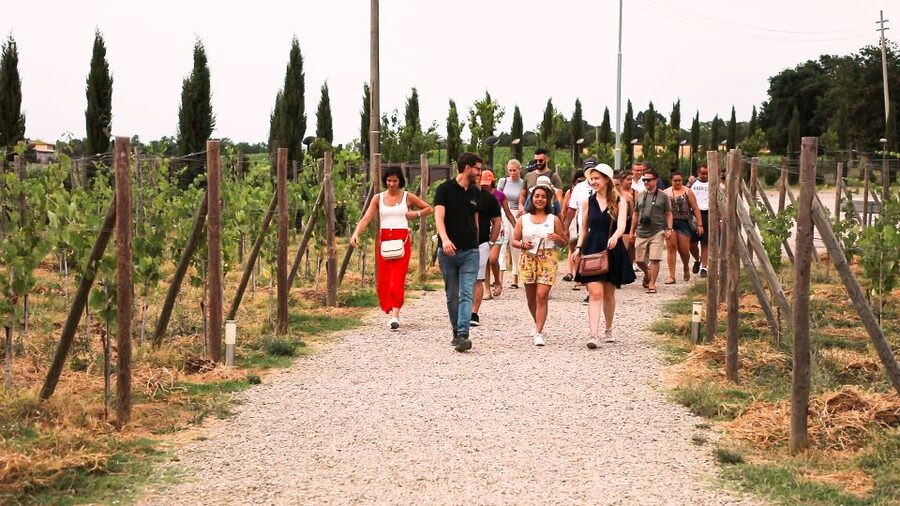 Florence: S. Gimignano, Siena, Chianti Wine Tasting & Lunch - Coach travel, group size, and the pace