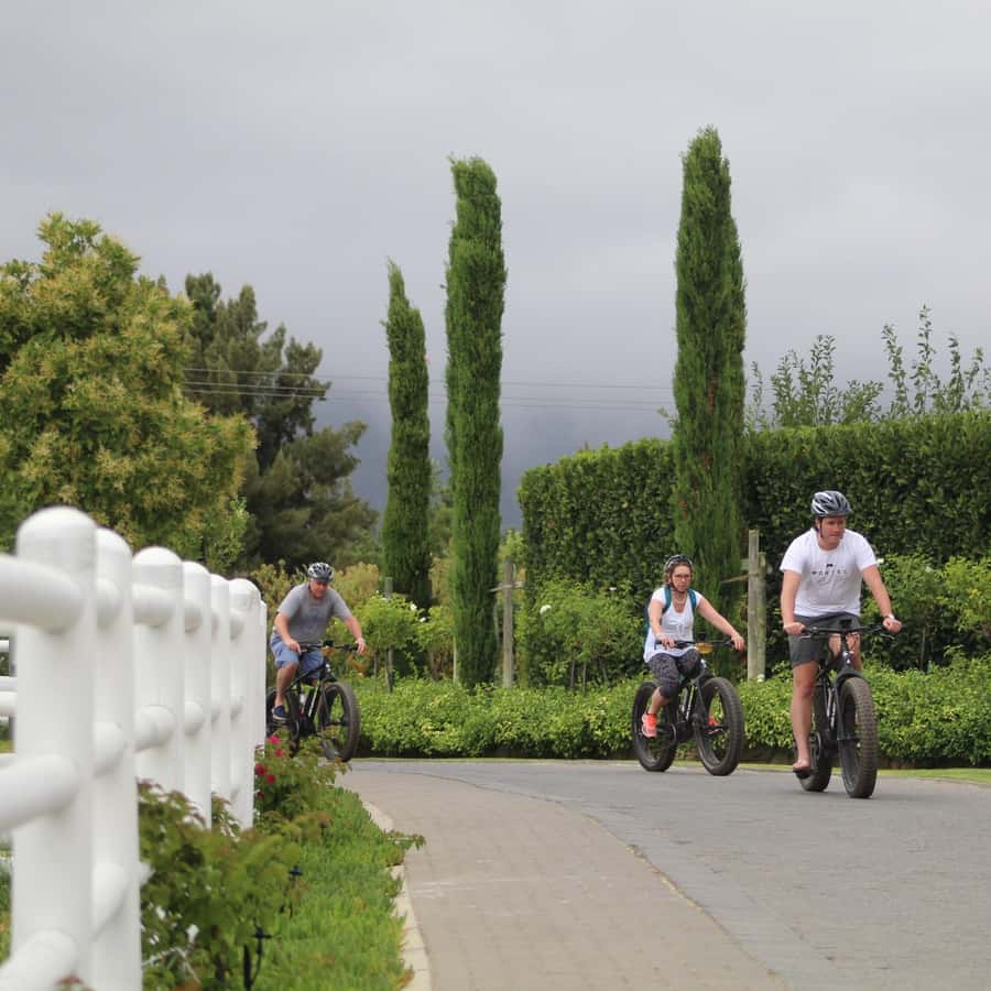 Franschhoek: E-Bike Guided Winery Tour - Starting at 9 Fabriek Street in Franschhoek
