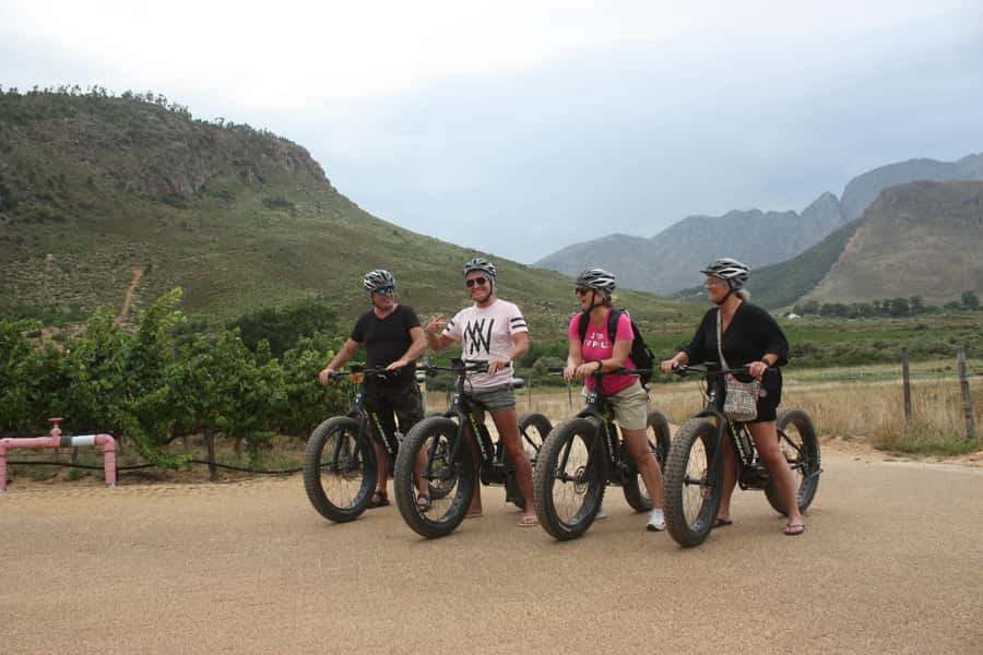 Franschhoek: E-Bike Guided Winery Tour - What the $89 price really covers
