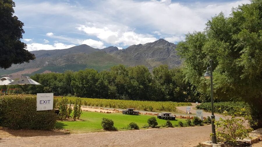 Franschhoek & Stellenbosch: Full-Day Wine Tour - Stellenbosch: mountain views and cellar stories