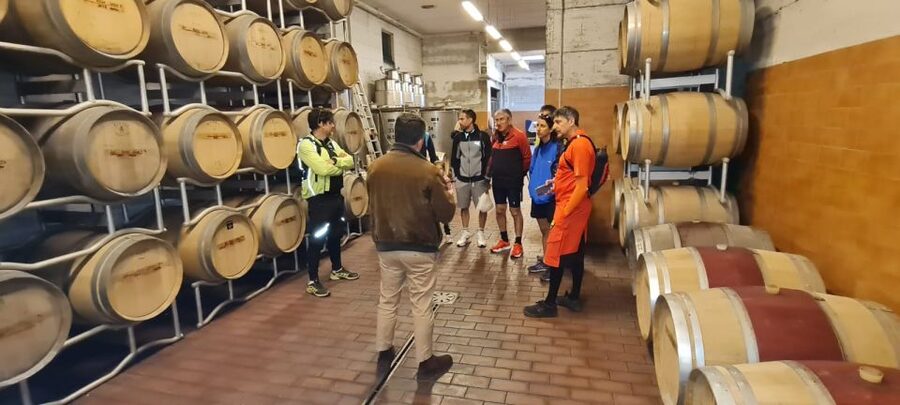 Frascati: Tour in E-Bike with Wine Tasting - What the guide adds to the experience
