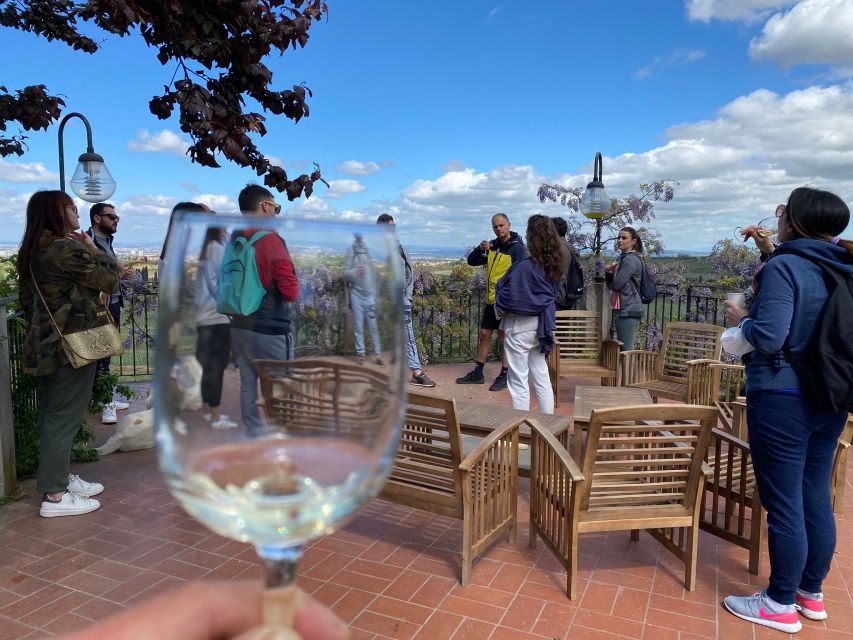 Frascati: Tour in E-Bike with Wine Tasting - Is $94 good value?