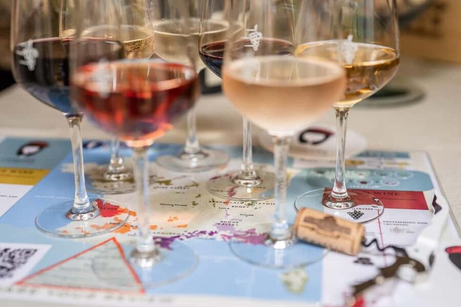 Frecnh Wine Tasting in City Center of Nice - The guides make the difference