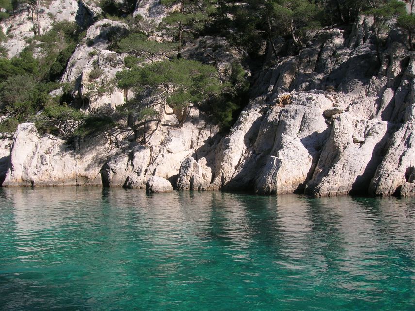 From Aix: Cassis Boat Ride & Provence Wine Tasting Day Tour - The guides are a major part of the value