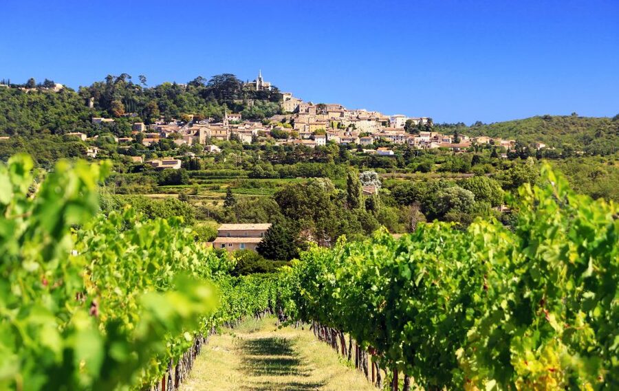 From Aix-en-Provence: Half-Day Wine Tour - What you will taste in Provence