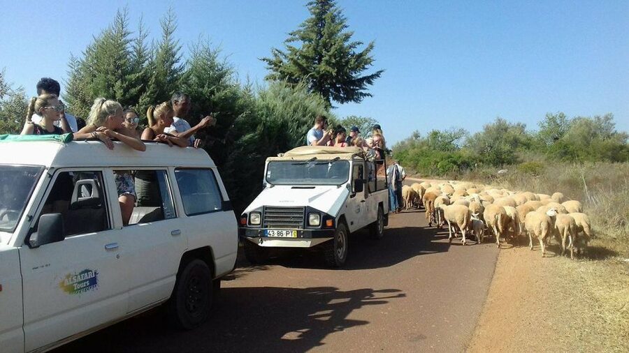 From Albufeira: 4x4 Off-Road Safari & Vineyard Wine Tasting - The 4x4 ride: fun, but not perfectly smooth