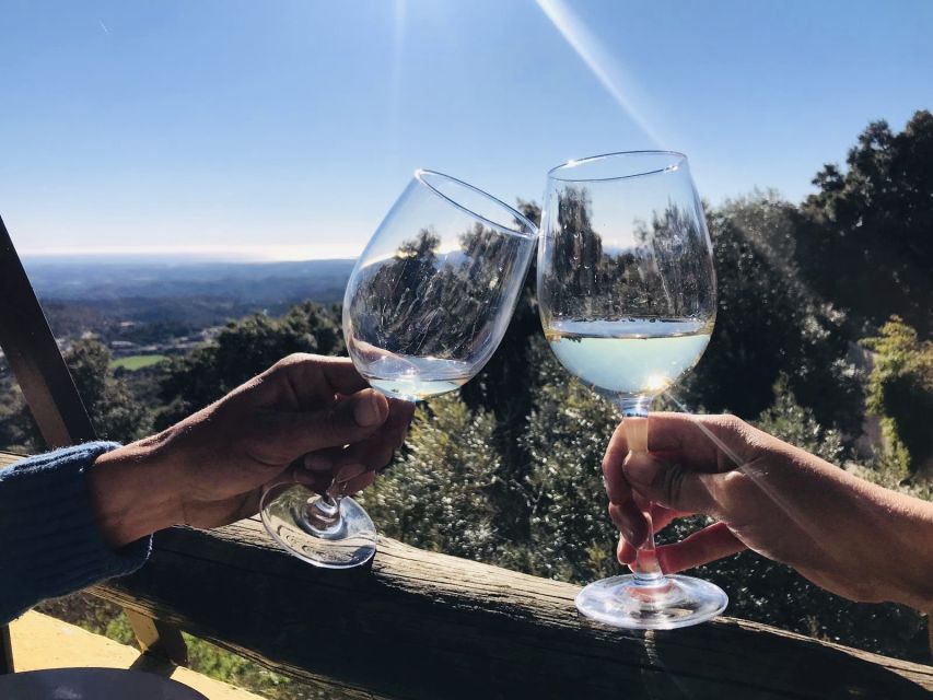 From Albufeira: Wine Tasting & Historic Silves Tour - From Silves to a family-run winery