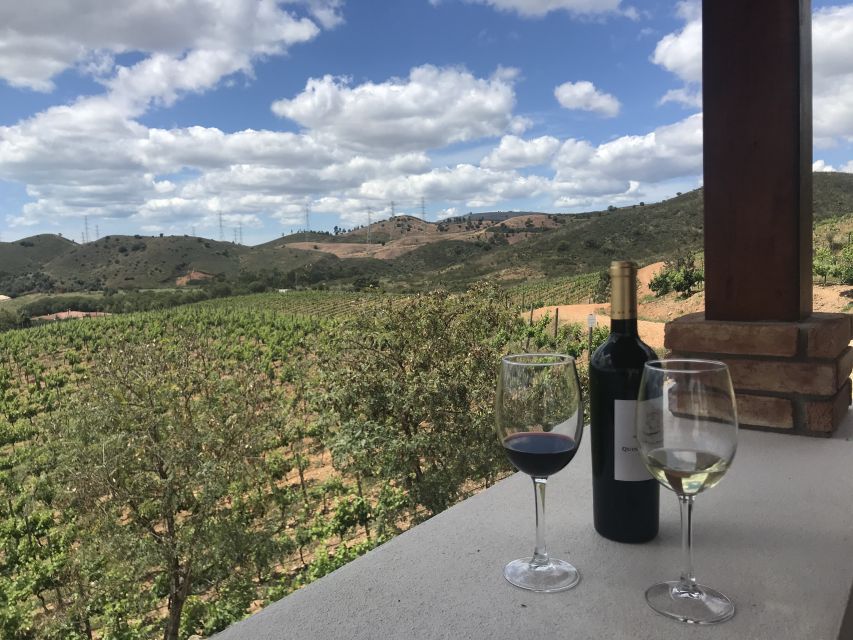From Albufeira: Wine Tasting & Historic Silves Tour - A small group makes the van ride better