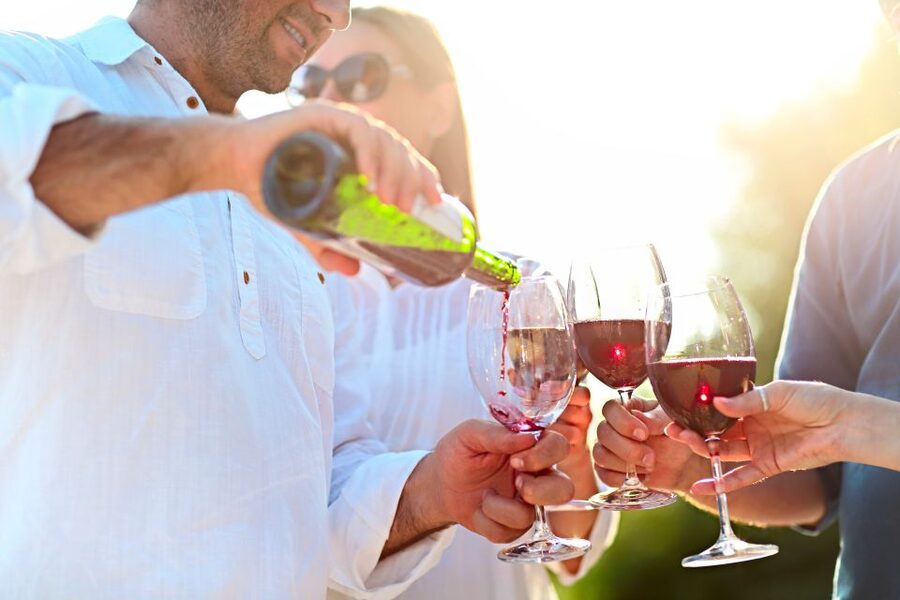 From Albufeira: Wine Tasting & Historic Silves Tour - Who should book this tour?
