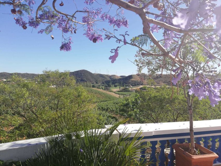 From Albufeira: Wine Tasting & Historic Silves Tour - Thirty minutes in Silves