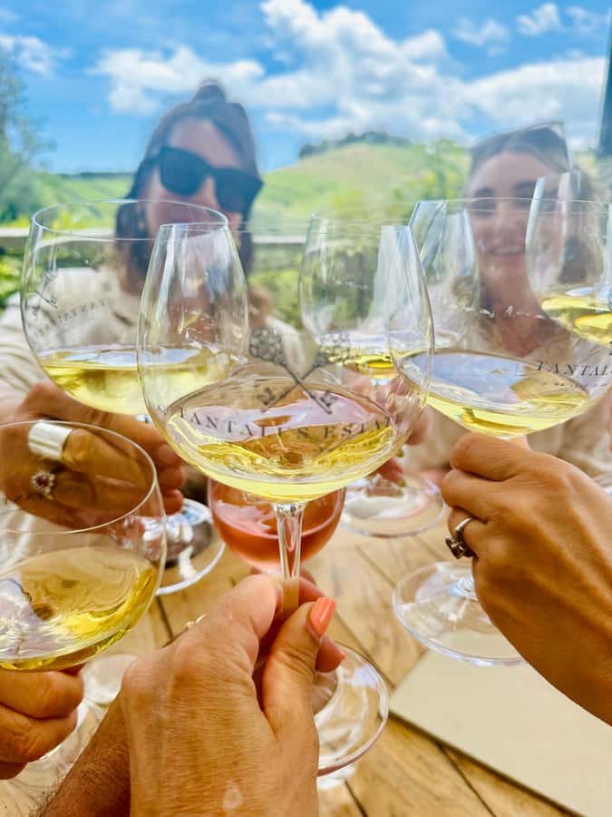 From Auckland: Waiheke Island Wineries' Tour - Four winery stops, with room for surprises