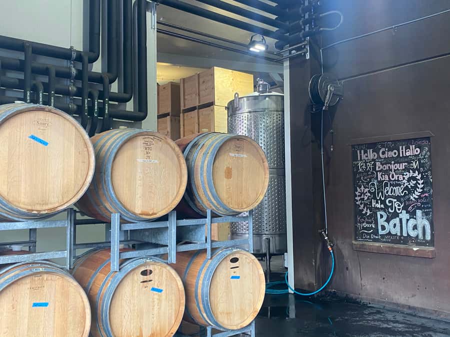 From Auckland: Waiheke Island Wineries' Tour - The return trip and staying longer on Waiheke