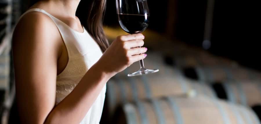 From Auckland: Waiheke Island Wineries' Tour - Meeting your local guide at the ferry terminal