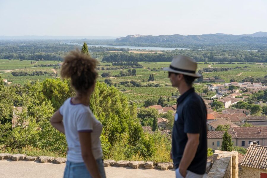 From Avignon: Châteauneuf du Pape Half-Day Wine Tour - The 45-minute drive through the Rhône Valley