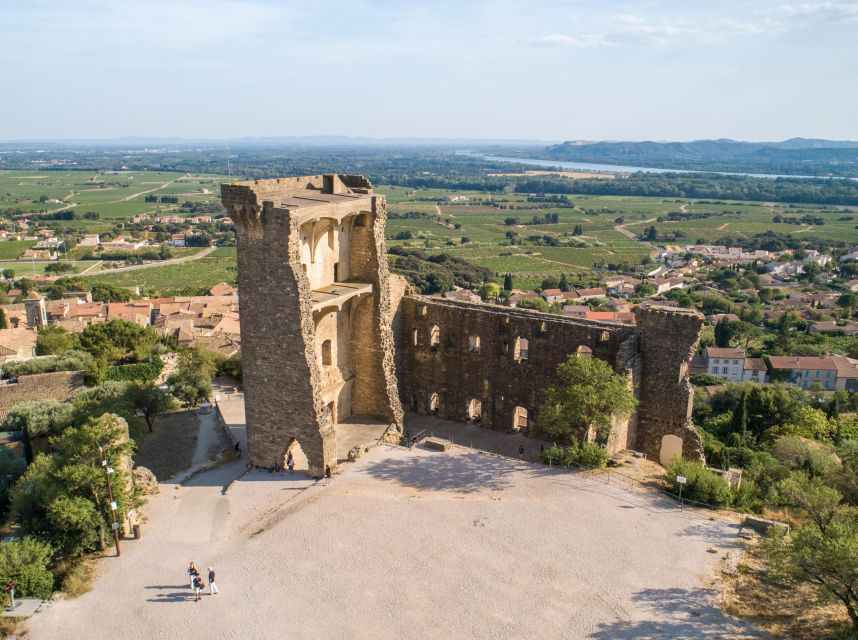 From Avignon: Châteauneuf du Pape Half-Day Wine Tour - Second cellar: compare a different approach to wine