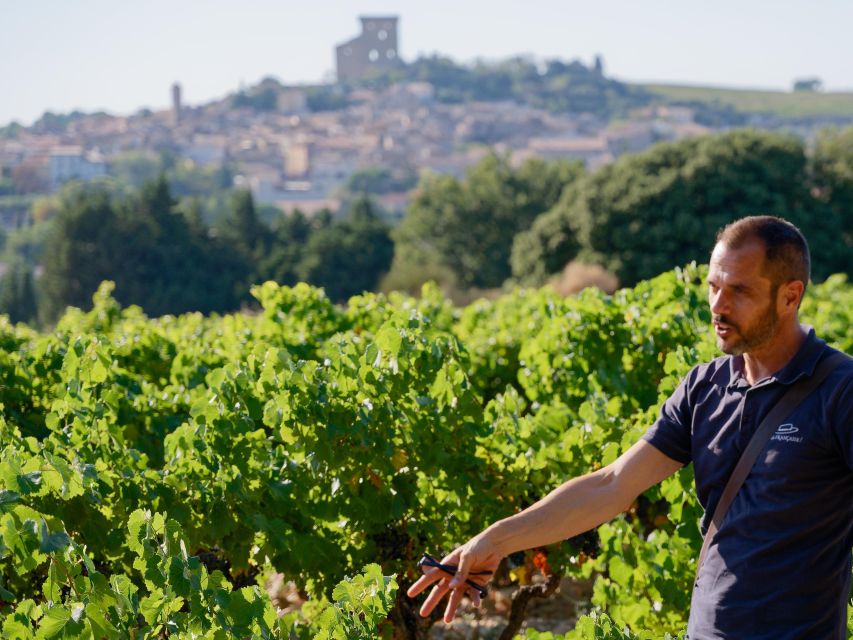 From Avignon: Châteauneuf du Pape Half-Day Wine Tour - The guides are a major part of the experience