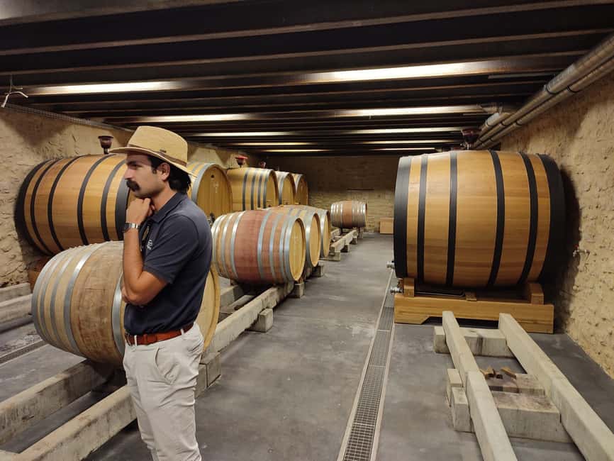 From Avignon: Châteauneuf du Pape Half-Day Wine Tour - Should you book it?