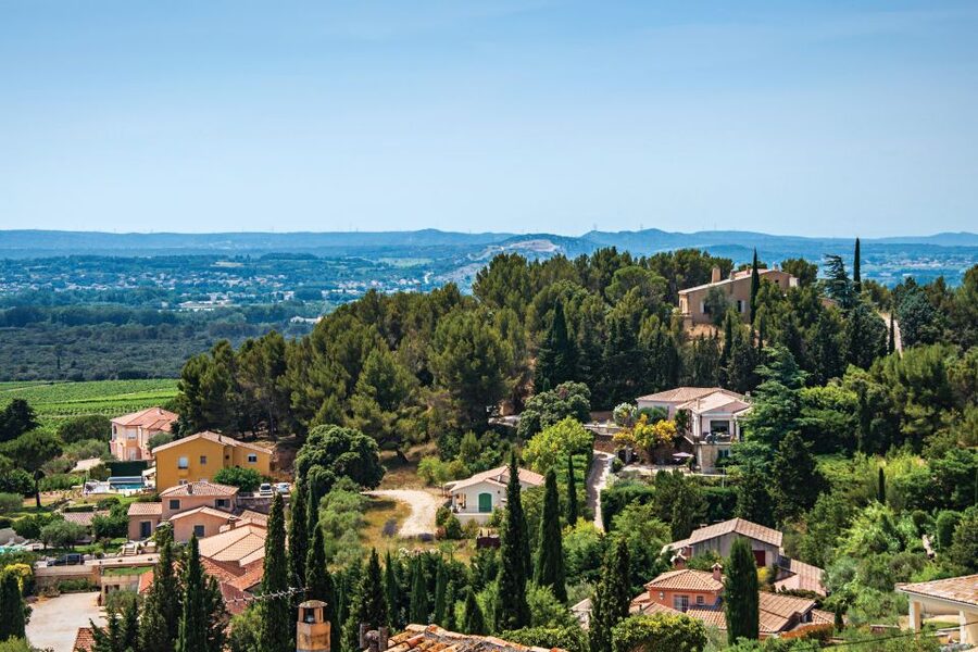 From Avignon: Half-Day Great Vineyards Tour - A small group with room for conversation