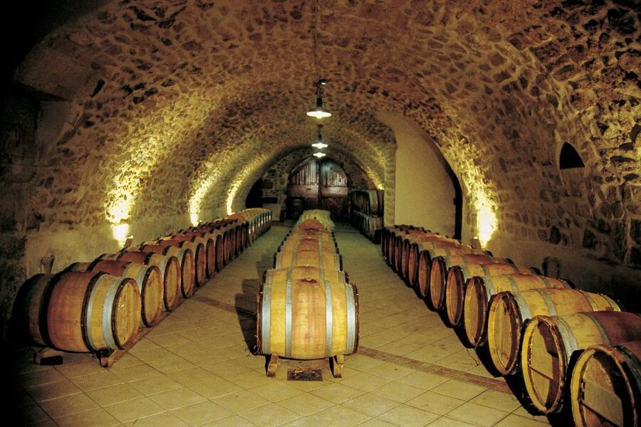 From Avignon: Half-Day Great Vineyards Tour - Is $94 good value?