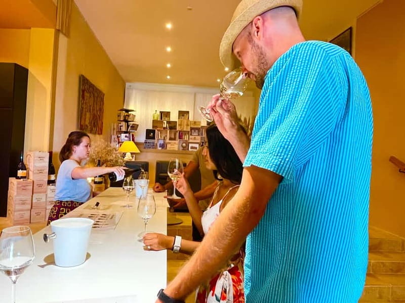 From Avignon: Wine Tour with Visit to Châteauneuf du Pape - Gigondas: wind, altitude, and a picnic under the trees