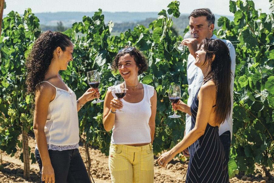 From Barcelona: Penedés Vineyards Tour by 4WD w/Wine & Cava - From Barcelona to the Penedès wine country