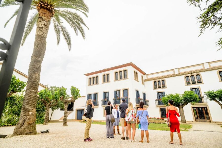From Barcelona: Penedés Vineyards Tour by 4WD w/Wine & Cava - Should you book it?