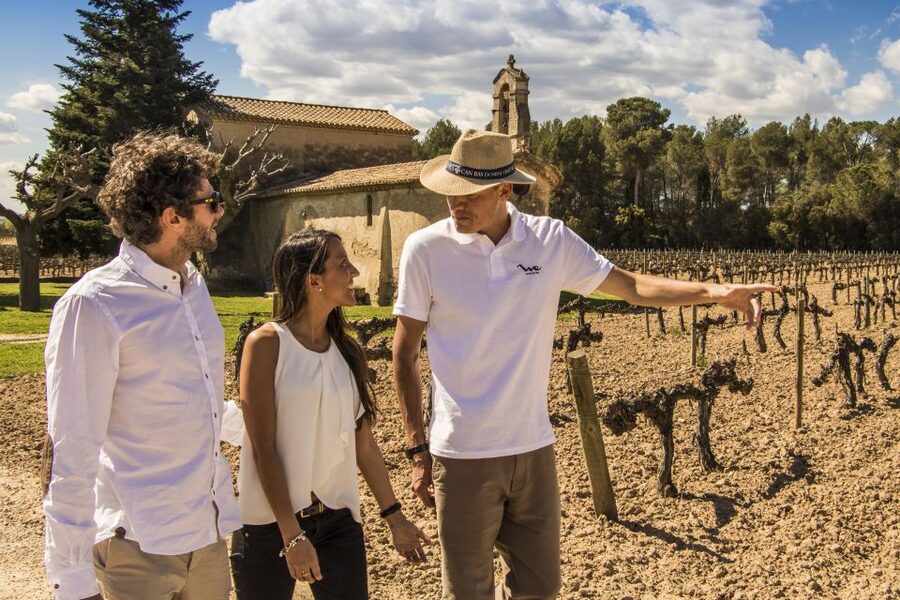 From Barcelona: Penedés Vineyards Tour by 4WD w/Wine & Cava - Is $85 a fair price?