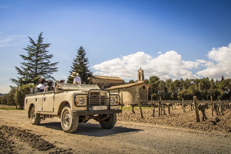 From Barcelona: Penedés Vineyards Tour by 4WD w/Wine & Cava - Who should book this Penedès tour?