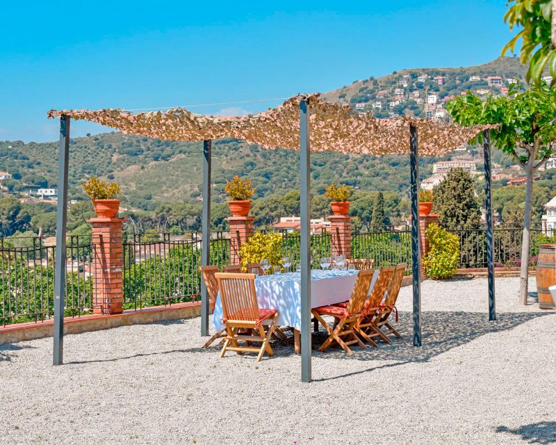 From Barcelona: Private Alella Wine Tour by Electric Bike - Key points at a glance