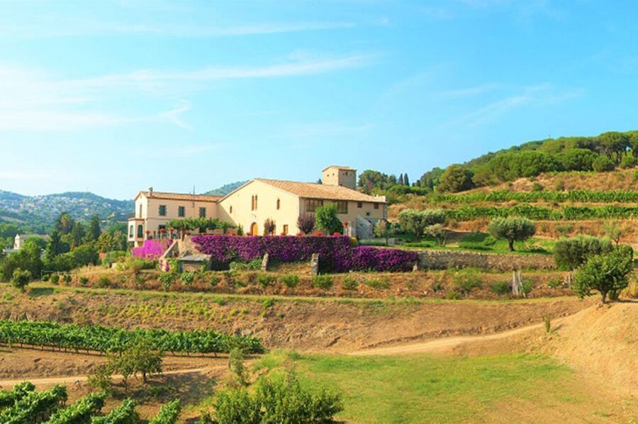 From Barcelona: Private Alella Wine Tour by Electric Bike - Why Alella makes a fine Barcelona day trip
