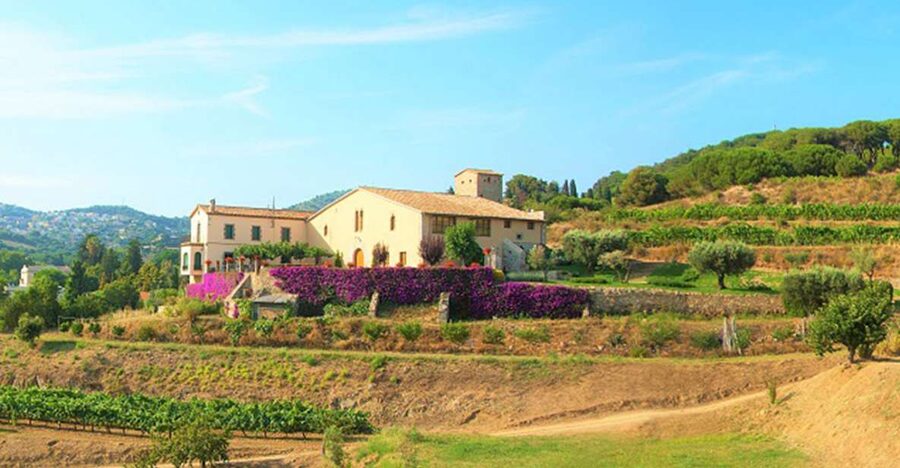 From Barcelona: Private Alella Wine Tour by Electric Bike - Beaches, ports, and the Maresme coast