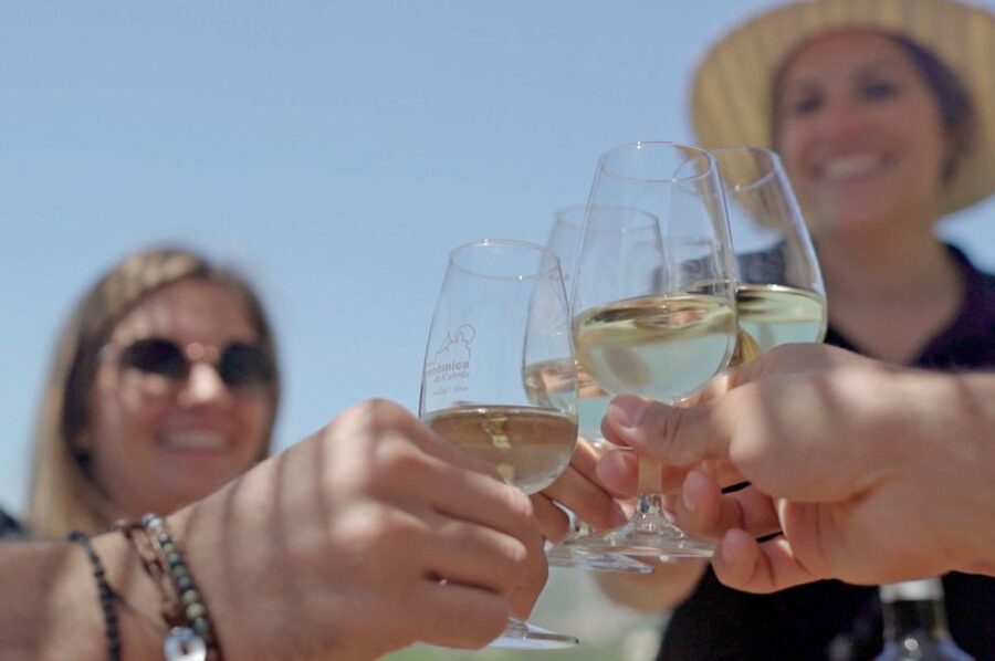 From Barcelona: Private Alella Wine Tour by Electric Bike - The return by train and bike