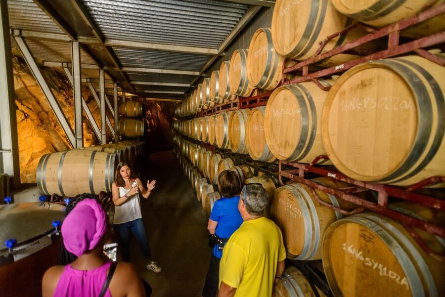 From Barcelona: Private Alella Wine Tour by Electric Bike - The bikes are the one area to watch
